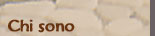 Chi sono